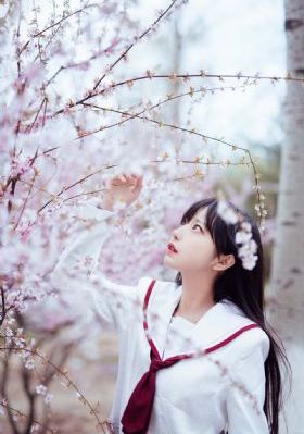 草莓视频在线免费播放_超清免费观看电视剧